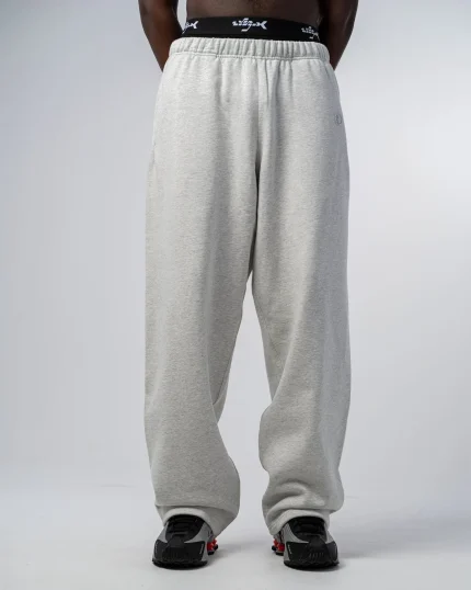 Revengex Baggy Joggers Pants [Gray] (5)